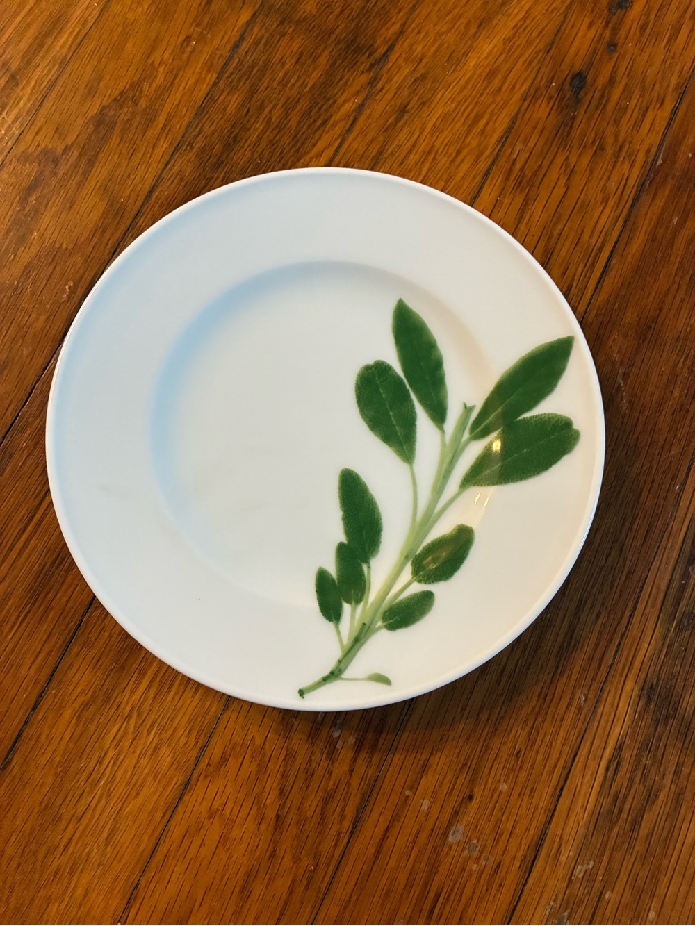 Dibbern Collection Schönwald Herbaticum Salad 7.5" Plate Sage